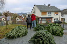 Es weihnachtet in St. Crescentius (Foto: Karl-Franz Thiede)